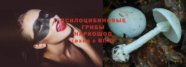 крисы Няндома