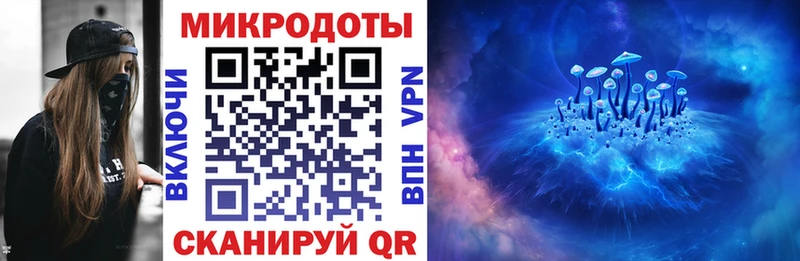 Псилоцибиновые грибы Psilocybine cubensis  Касли 